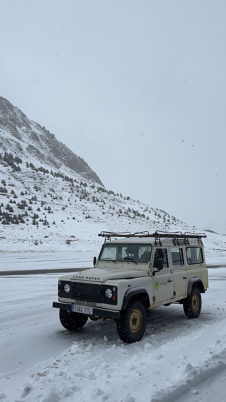 Land Rover Series III Defender sighting in snowy mountains